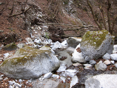 20200110hike (369)